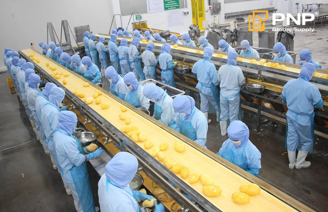 Kiểm định nhà xưởng nhằm đảm bảo minh bạch, ngăn chặn gian lận thương mại