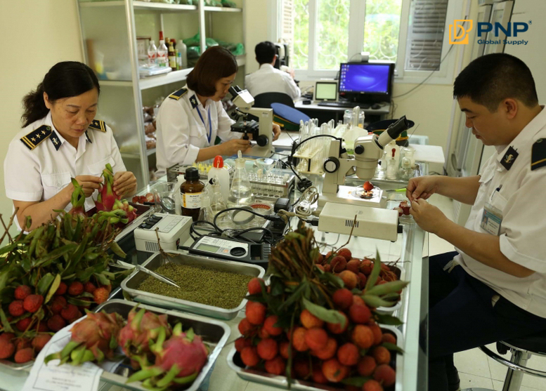 Kiểm dịch thực vật xuất khẩu