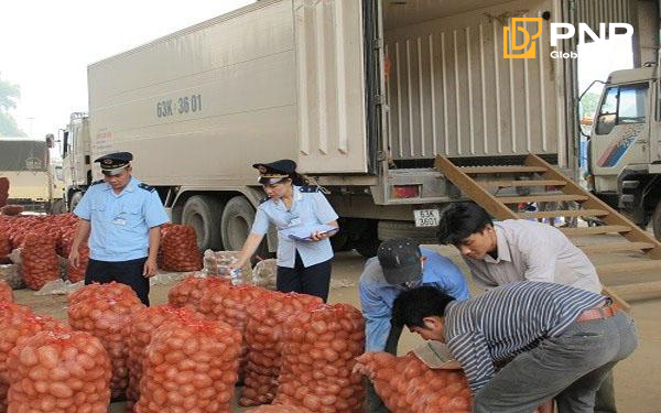 Kiểm định dịch thực vật