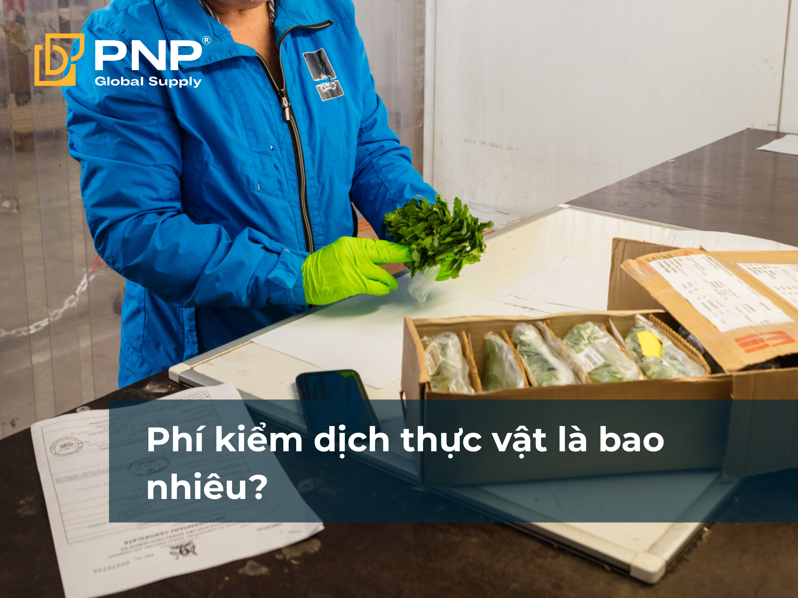 Phí kiểm dịch thực vật là bao nhiêu