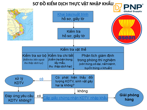 Sơ đồ Kiểm dịch thực vật Nhập khẩu