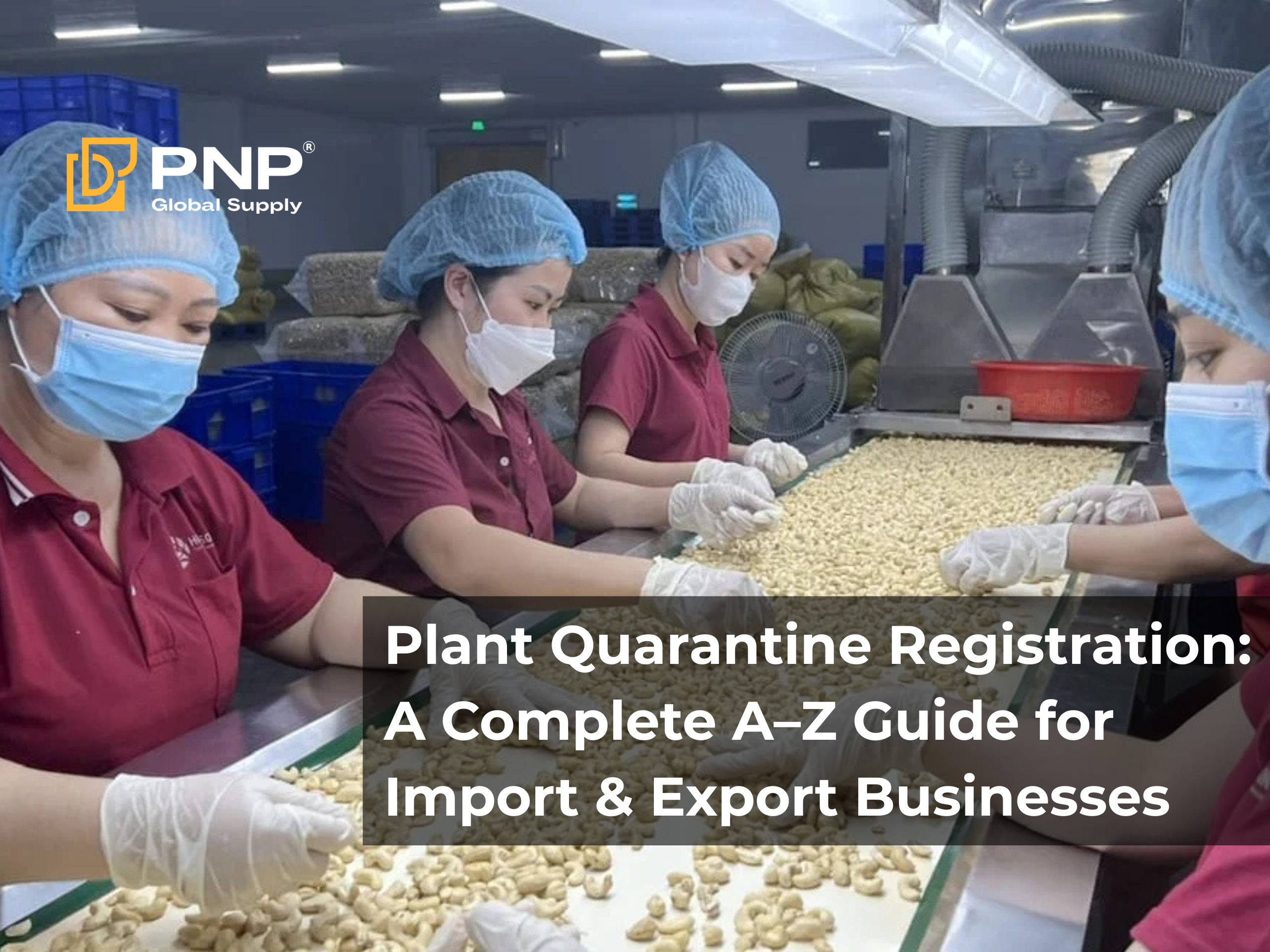 Plant Quarantine Registration: A Complete A–Z Guide for Import–Export Businesses
