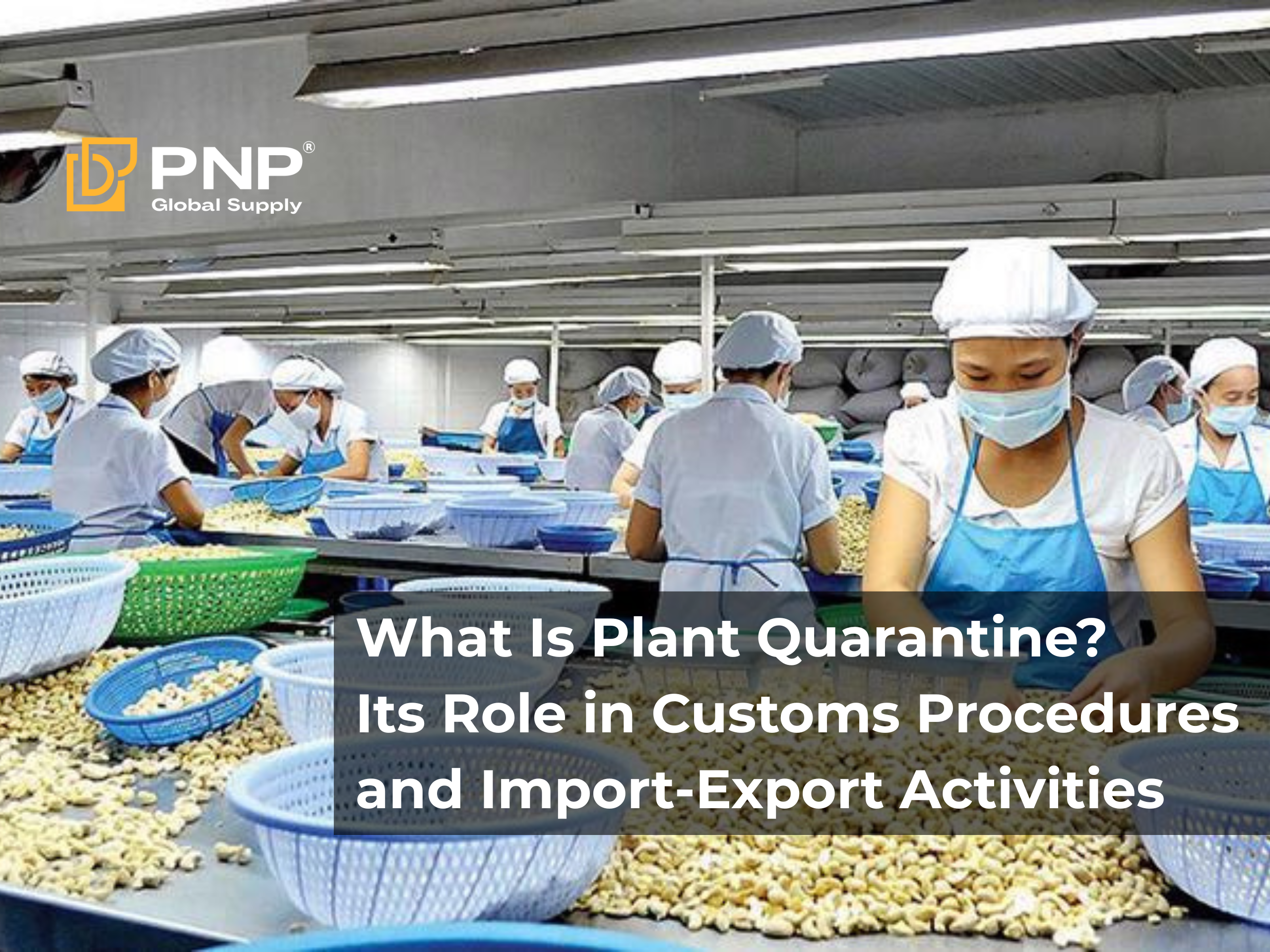 What Is Plant Quarantine? Its Role in Customs Procedures and Import-Export Activities