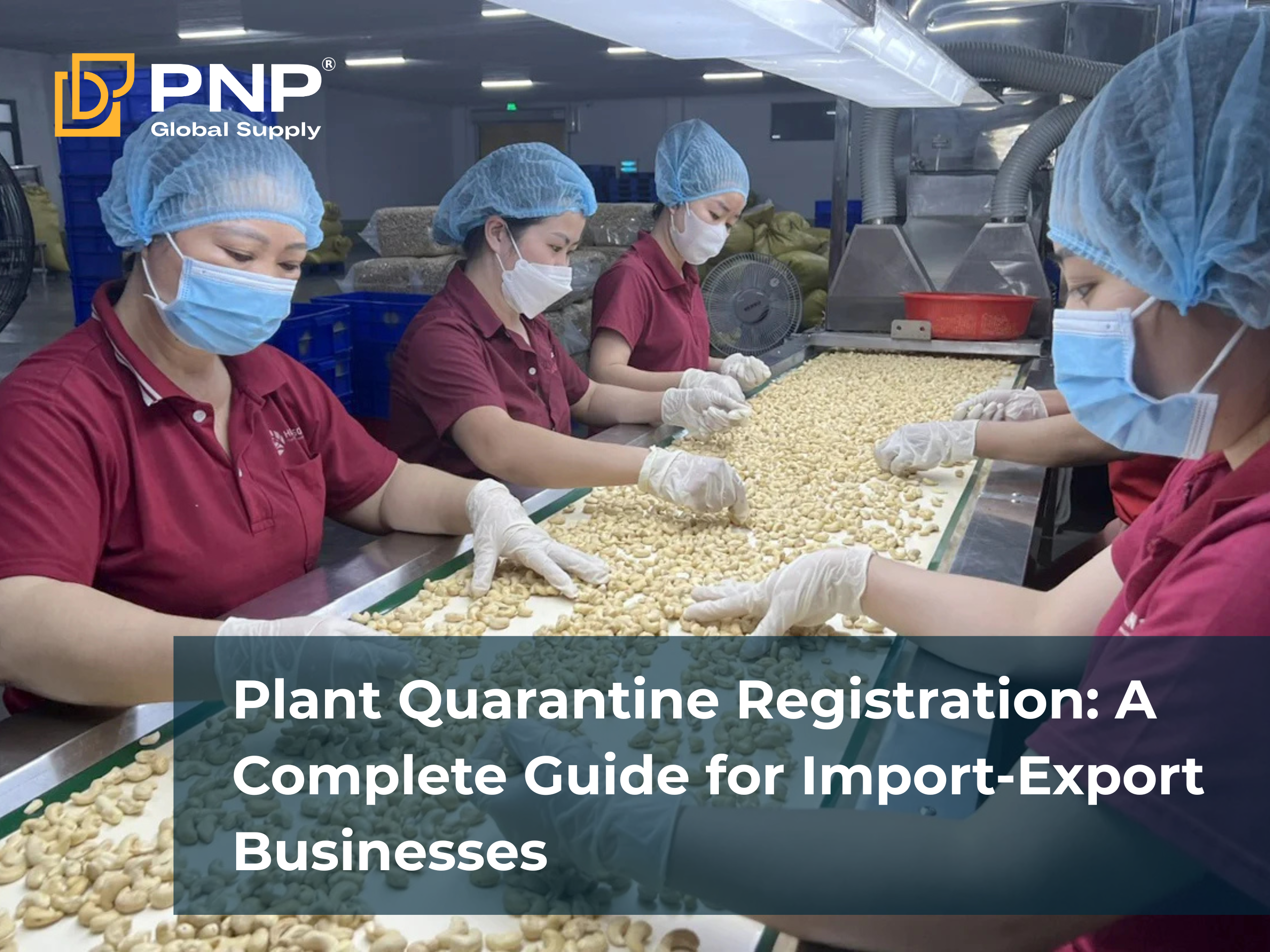 Đăng ký kiểm dịch thực vật_ Hướng dẫn chi tiết từ A–Z cho doanh nghiệp xuất nhập khẩu