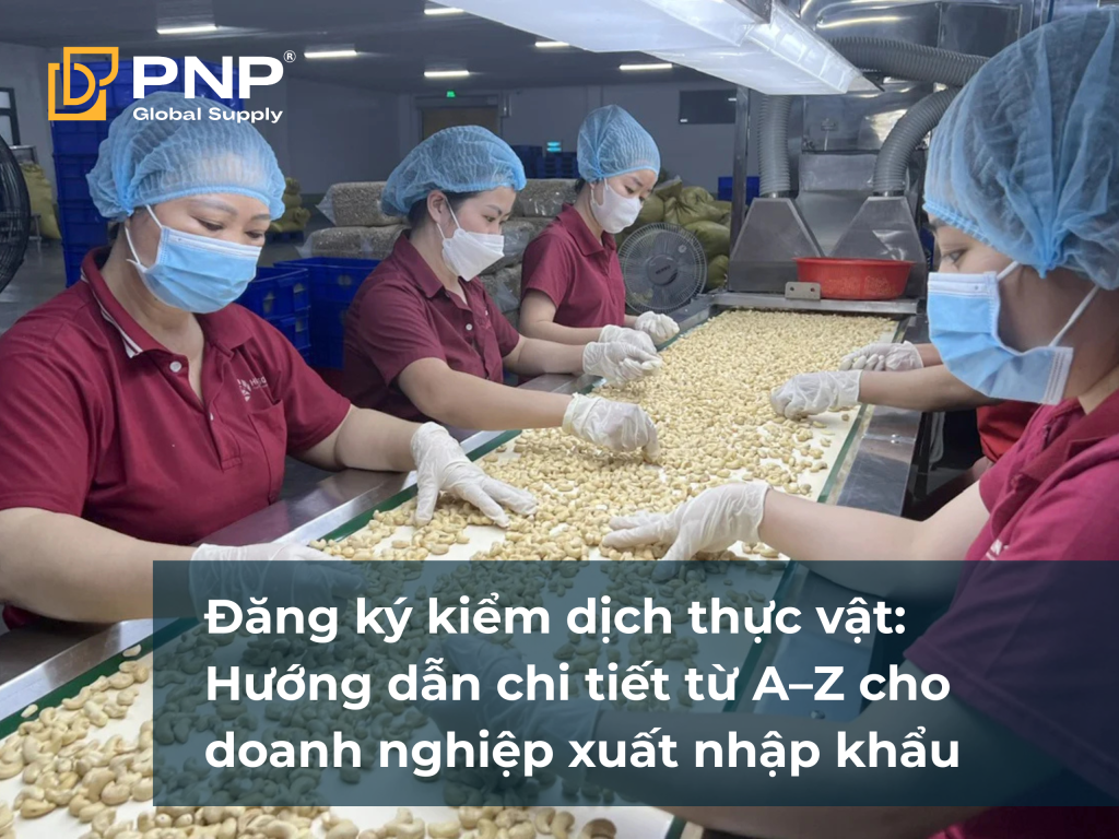 Đăng ký kiểm dịch thực vật_ Hướng dẫn chi tiết từ A–Z cho doanh nghiệp xuất nhập khẩu