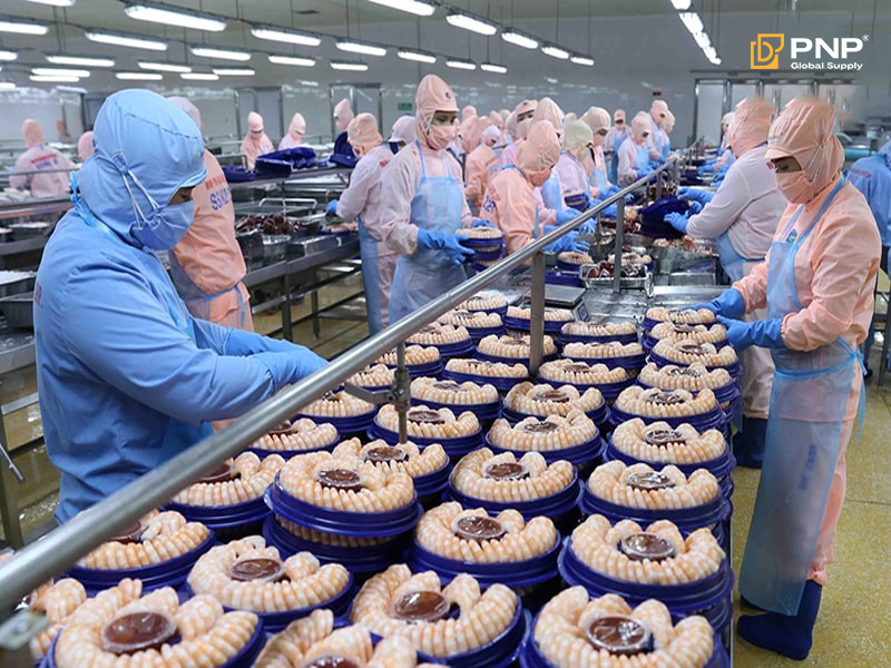 Các loại hình xuất khẩu phổ biến 