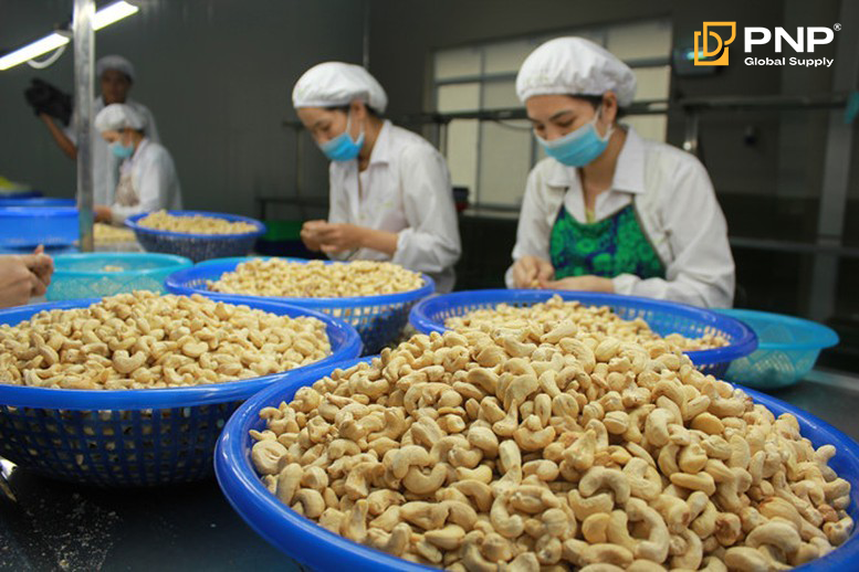 Chú trọng hạt điều chất lượng khi xuất khẩu
