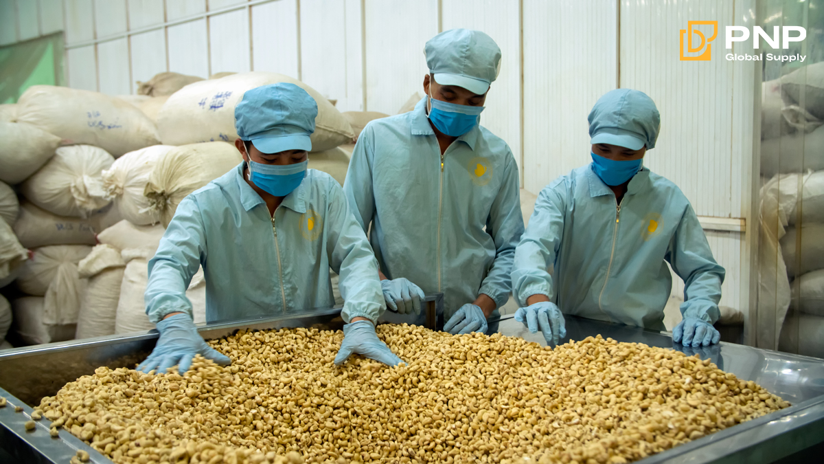 Doanh nghiệp xuất khẩu hàng có yêu cầu tiêu chuẩn cao