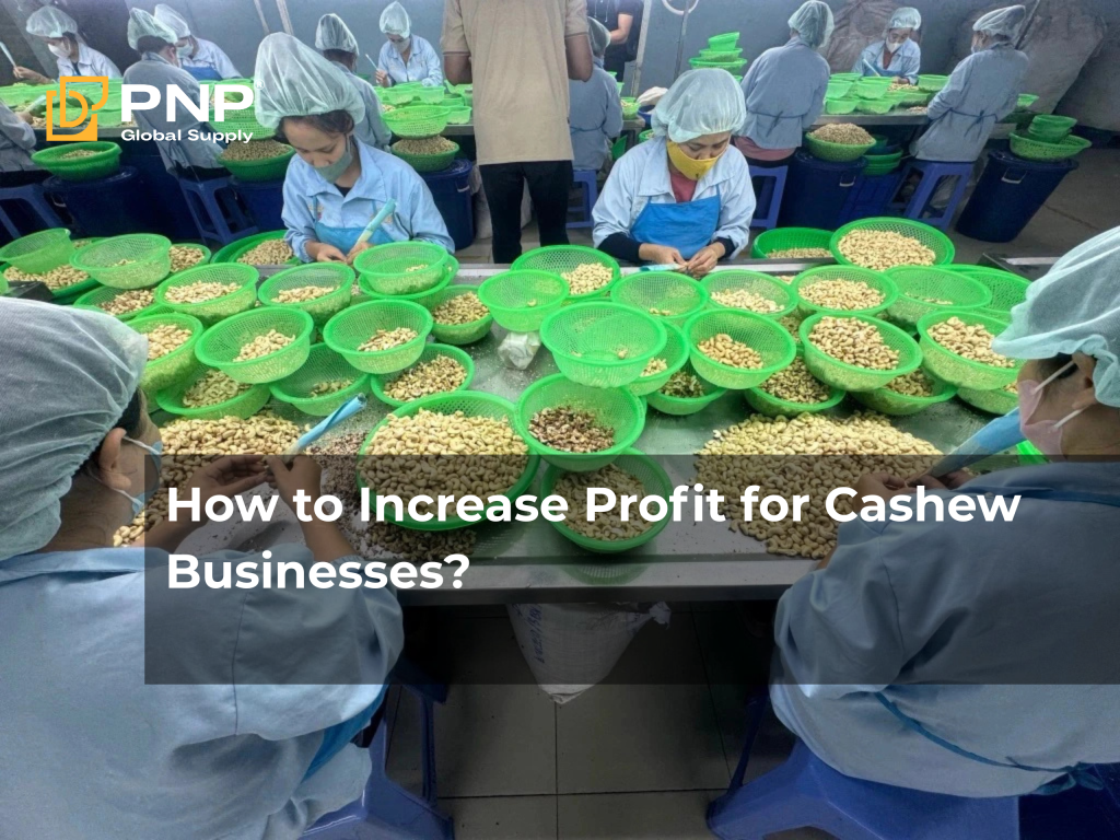 How to Increase Profit for Cashew Businesses (Import Raw – Export Kernels)