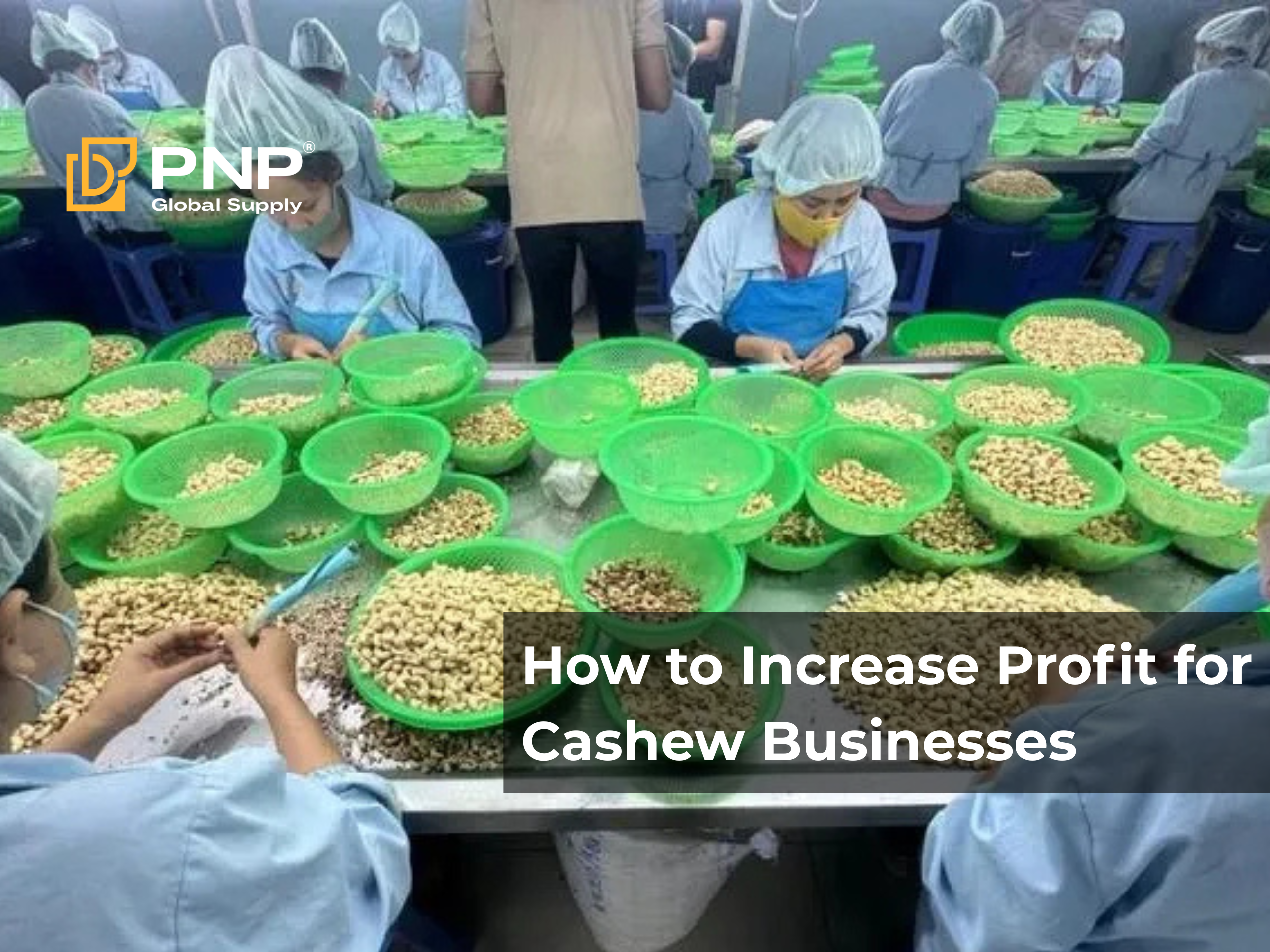How to Increase Profit for Cashew Businesses (Import Raw – Export Kernels)