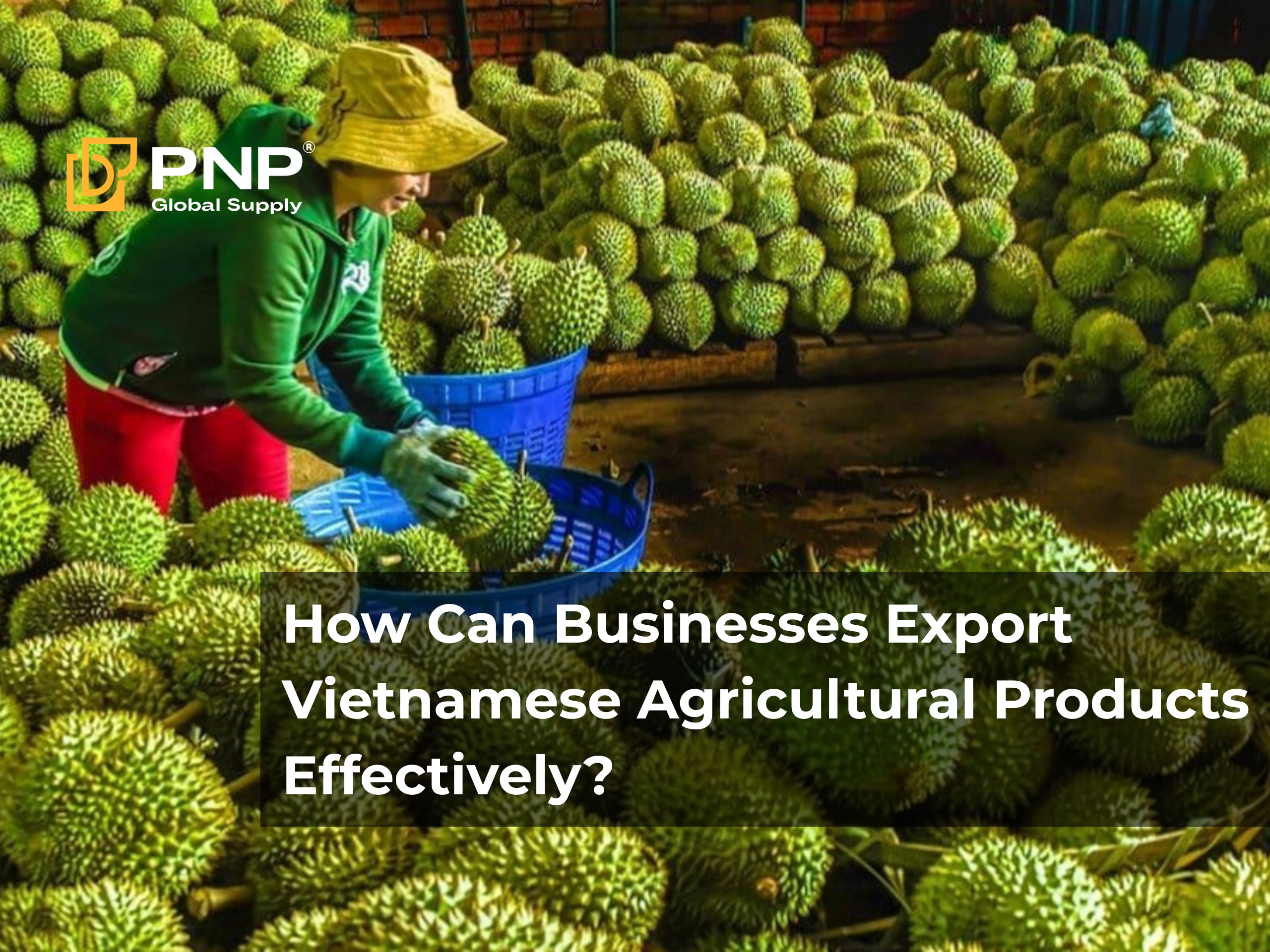 How Can Businesses Export Vietnamese Agricultural Products Effectively?
