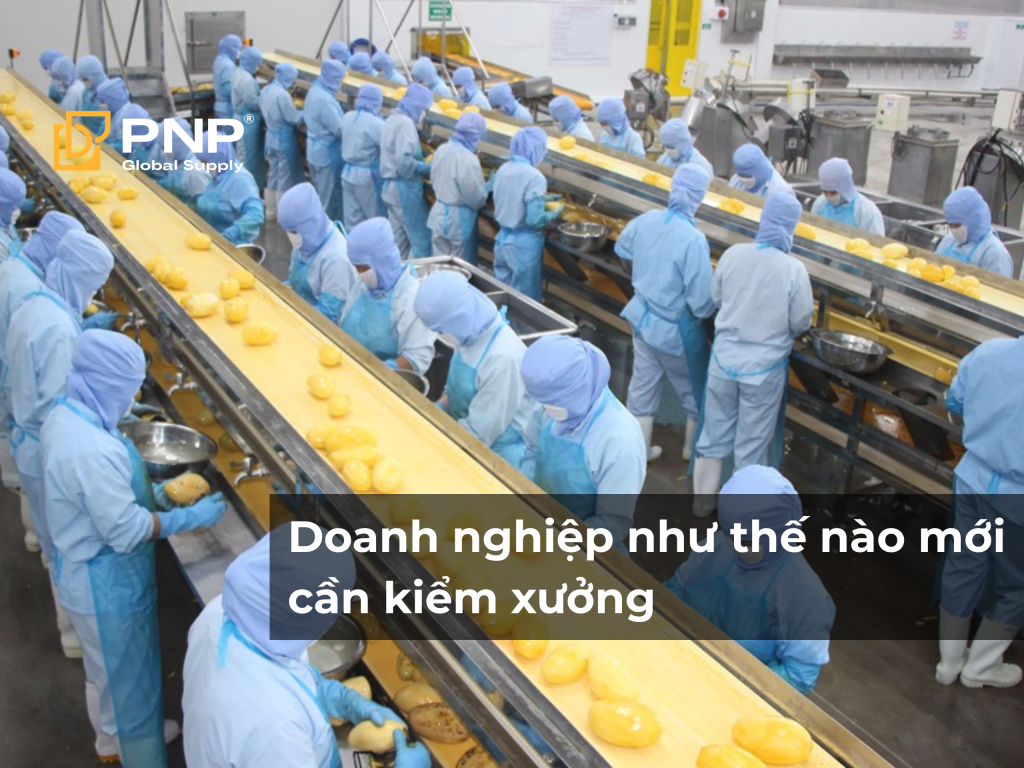 Doanh nghiệp sản xuất xuất khẩu như thế nào mới cần kiểm xưởng?