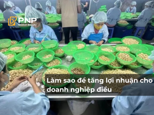 Làm sao để tăng lợi nhuận cho doanh nghiệp điều (nhập thô – xuất nhân)?