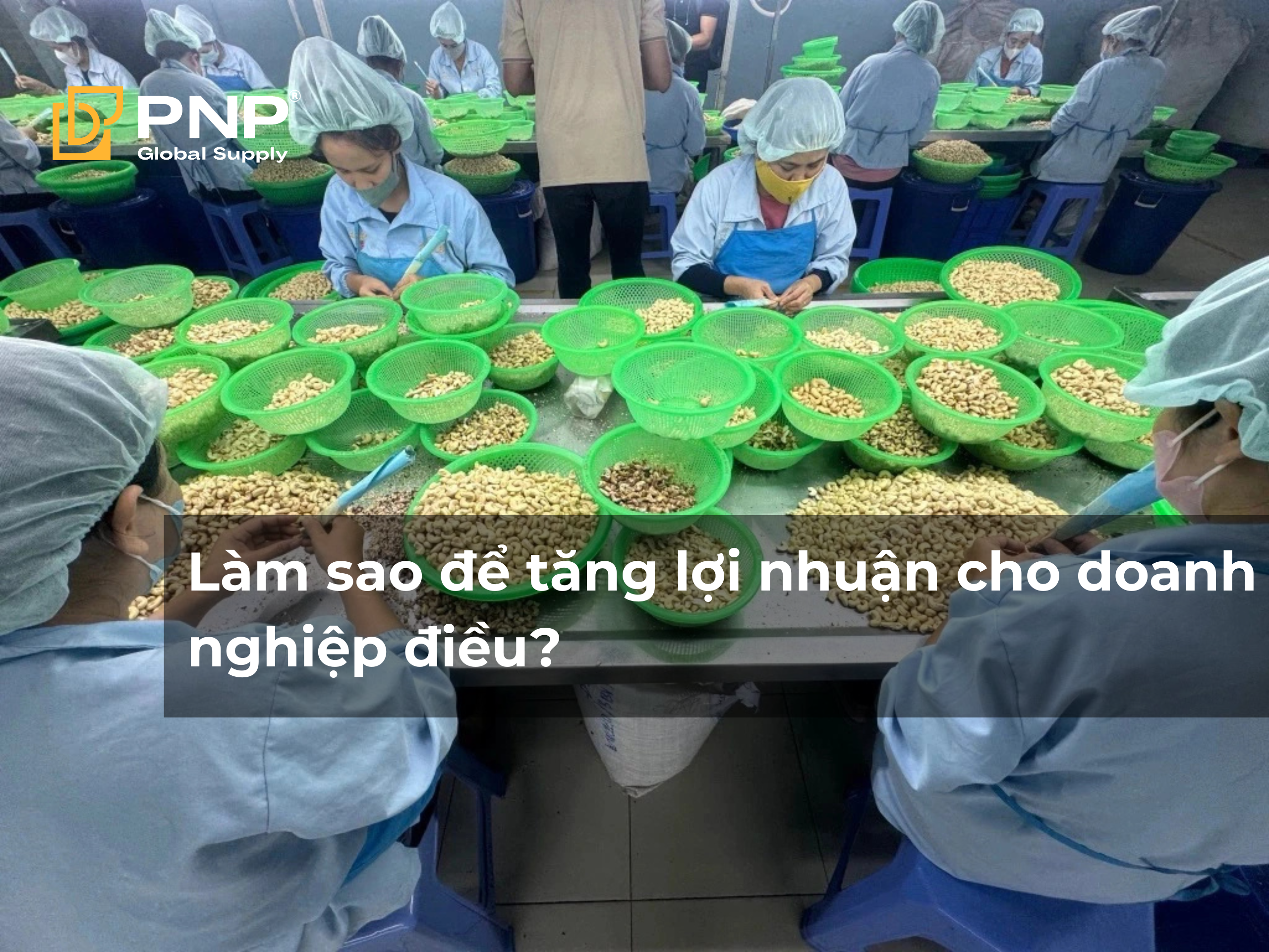 Làm sao để tăng lợi nhuận cho doanh nghiệp điều ( nhập thô - xuất nhân)