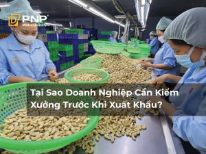 Tại Sao Doanh Nghiệp Cần Kiểm Xưởng Trước Khi Xuất Khẩu