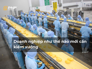Doanh nghiệp sản xuất xuất khẩu như thế nào mới cần kiểm xưởng?