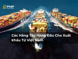 Các Hãng Tàu Xuất Khẩu Hàng Đầu Cho Việt Nam
