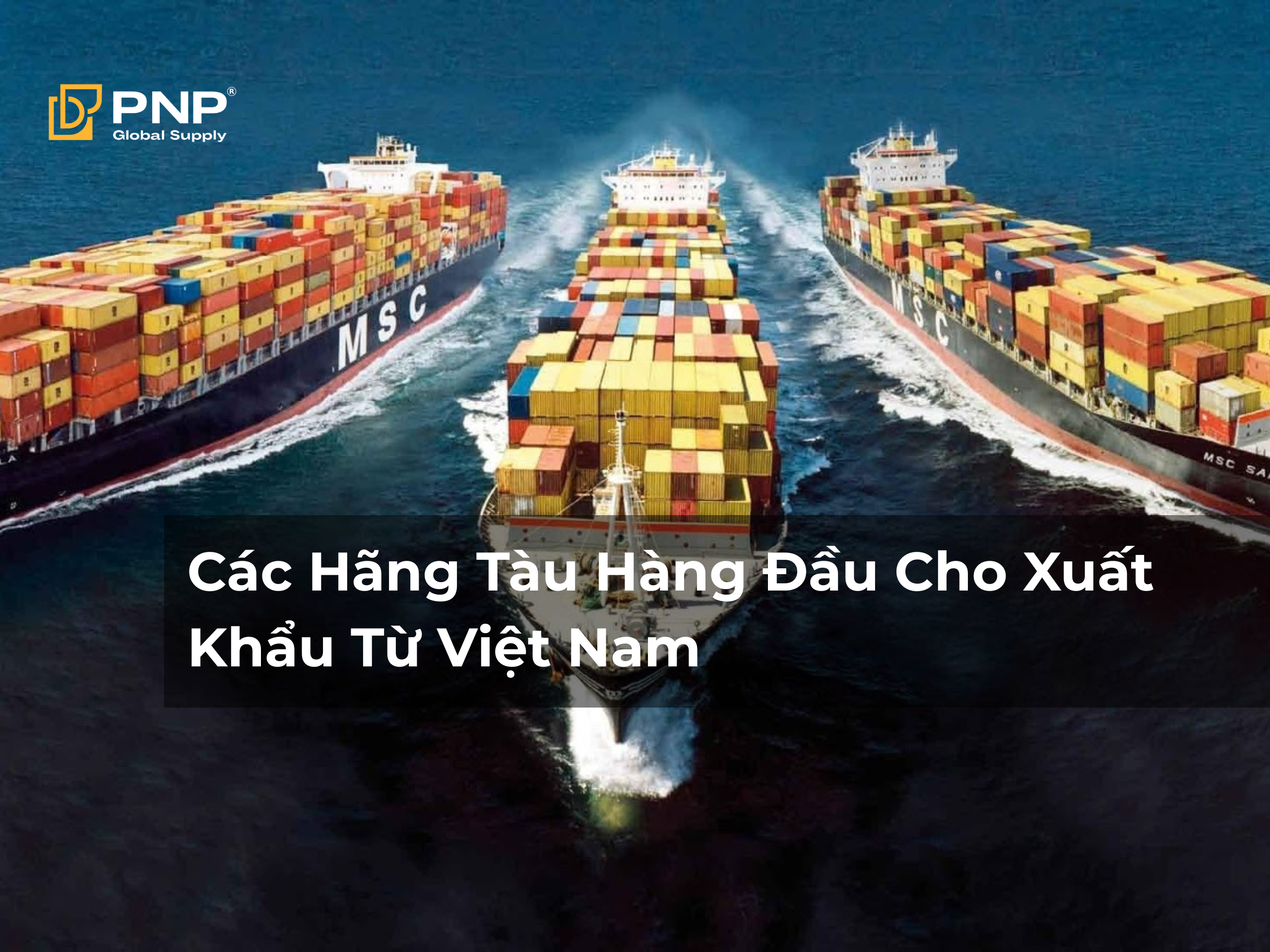 Các Hãng Tàu Xuất Khẩu Hàng Đầu Cho Việt Nam