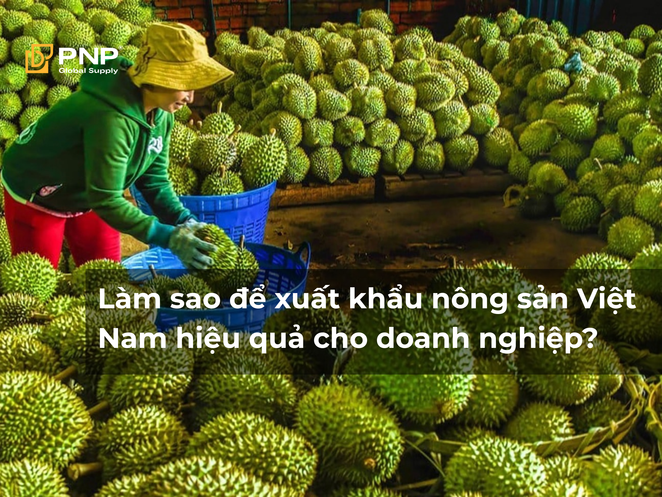 Làm sao để xuất khẩu nông sản Việt Nam hiệu quả cho doanh nghiệp