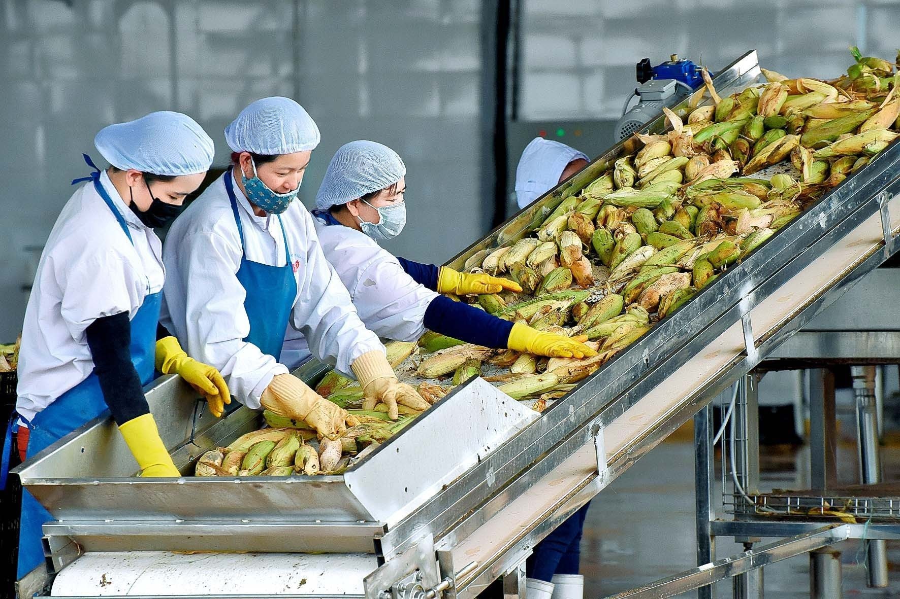 Xuất khẩu nông sản Việt Nam