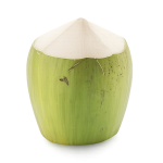 Conical Coconut