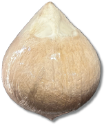 Peeled Coconut