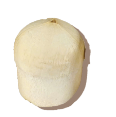 Trimmed Coconut
