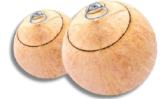 RING-PULL COCONUT