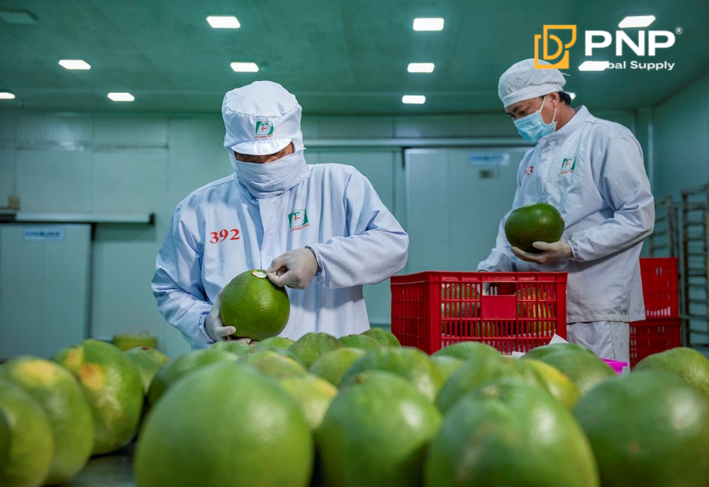 PNP xử lý hồ sơ có giấy chứng nhận kiểm dịch thực vật trong vòng 1 ngày