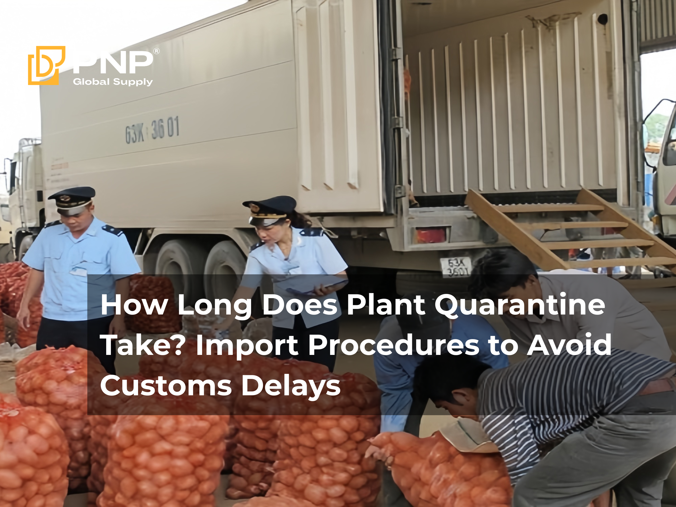 How Long Does Plant Quarantine Take? Import Procedures to Avoid Customs Delays