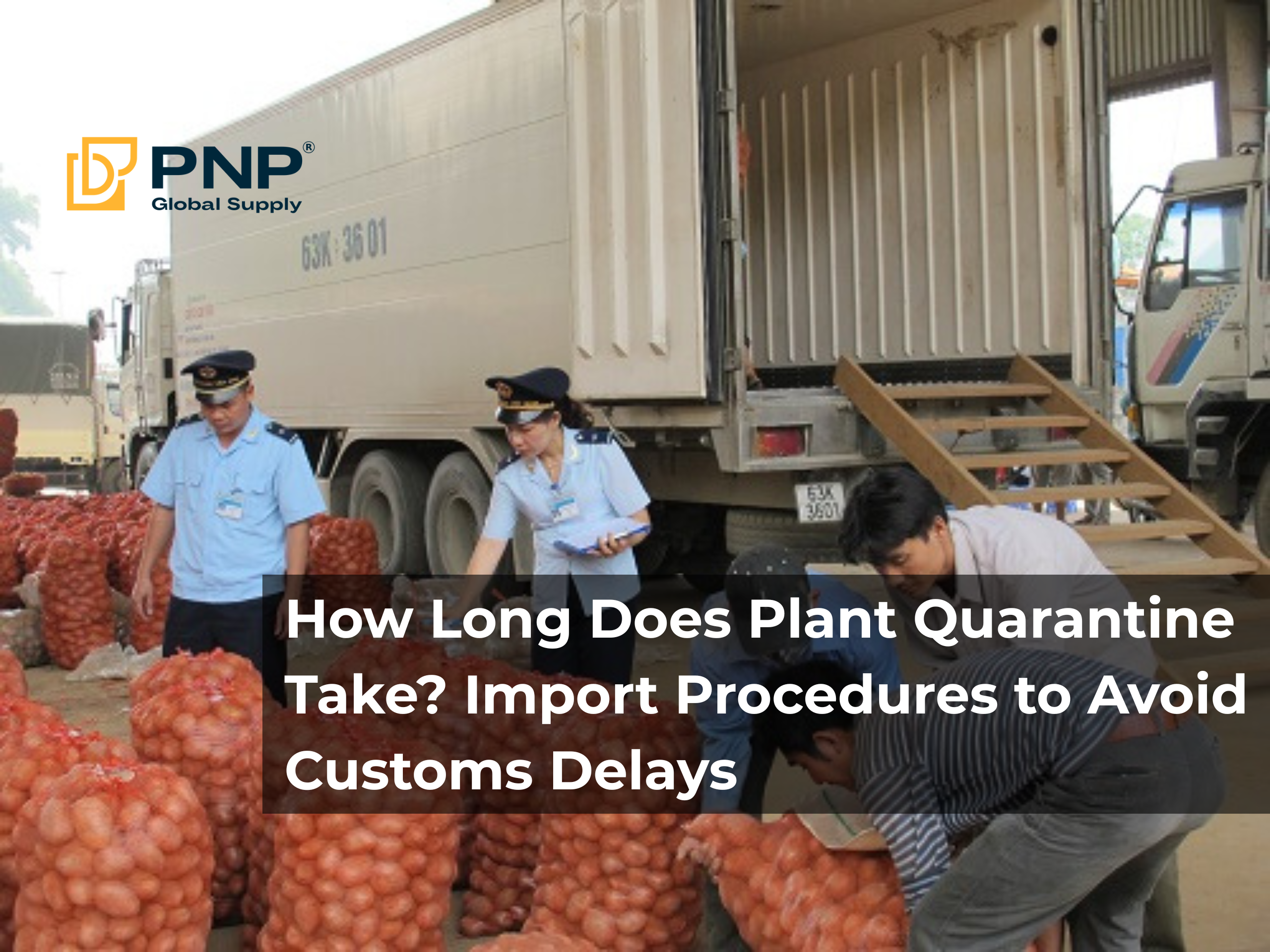 How Long Does Plant Quarantine Take? Import Procedures to Avoid Customs Delays