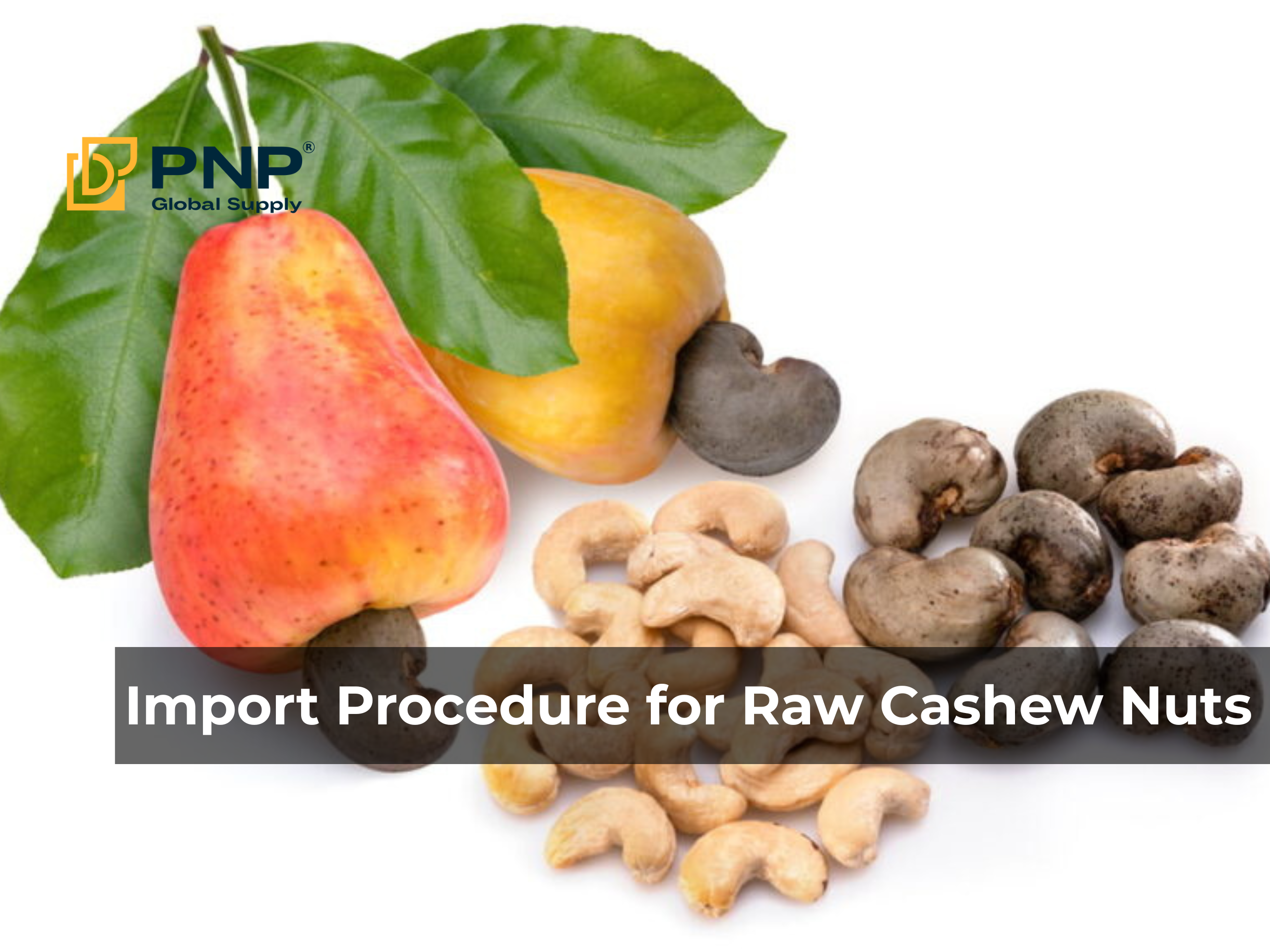 Import Procedure for Raw Cashew Nuts