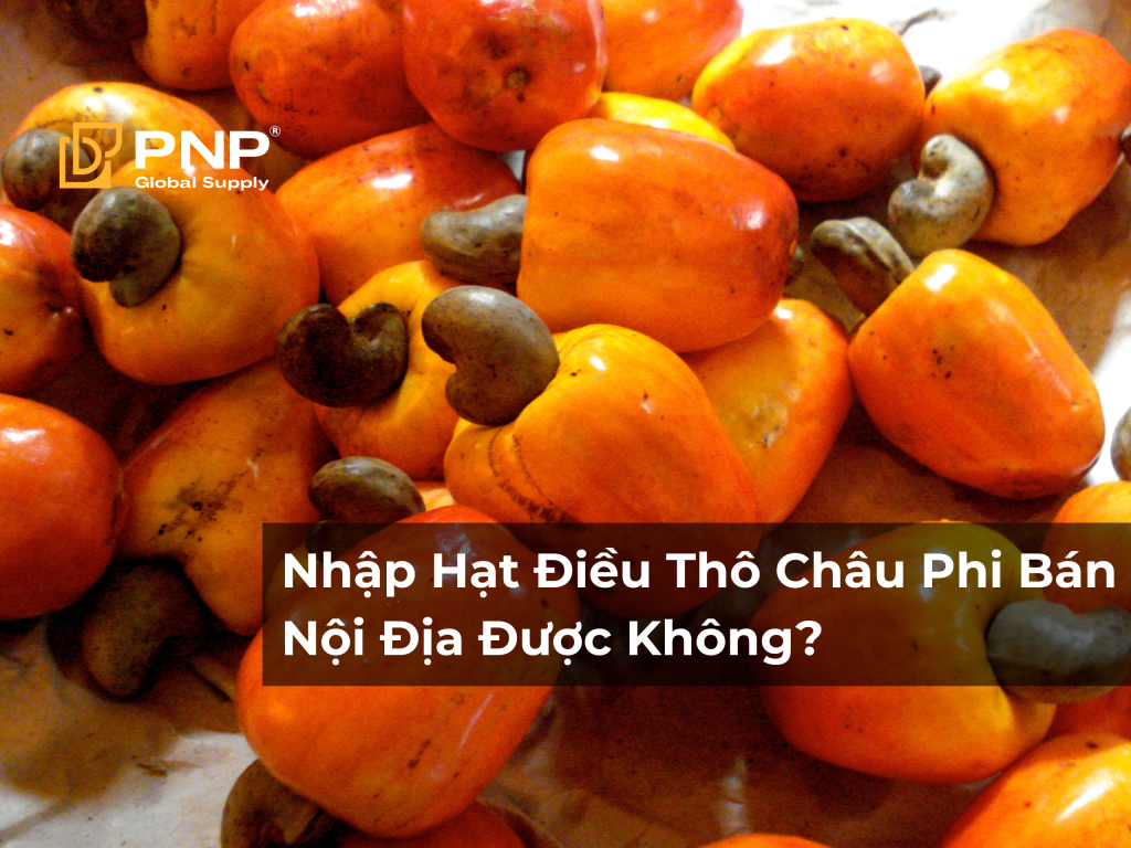 Nhập Hạt Điều Thô Châu Phi Bán Nội Địa Được Không? Những Quy Định Doanh Nghiệp Cần Biết