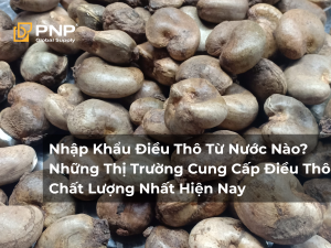 Nhập Khẩu Điều Thô Từ Nước Nào Những Thị Trường Cung Cấp Điều Thô Chất Lượng Nhất Hiện Nay