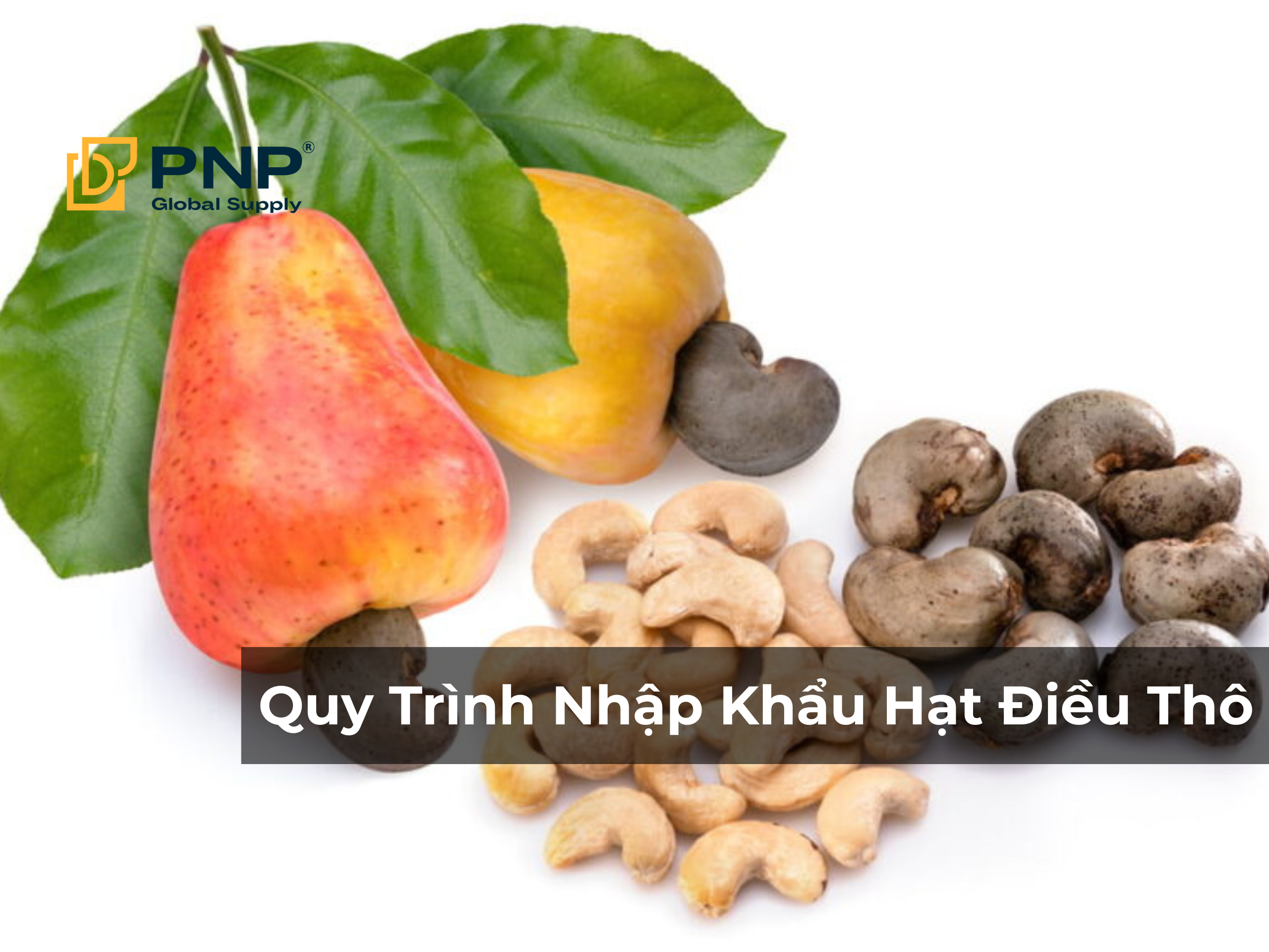 Quy Trình Nhập Khẩu Hạt Điều Thô