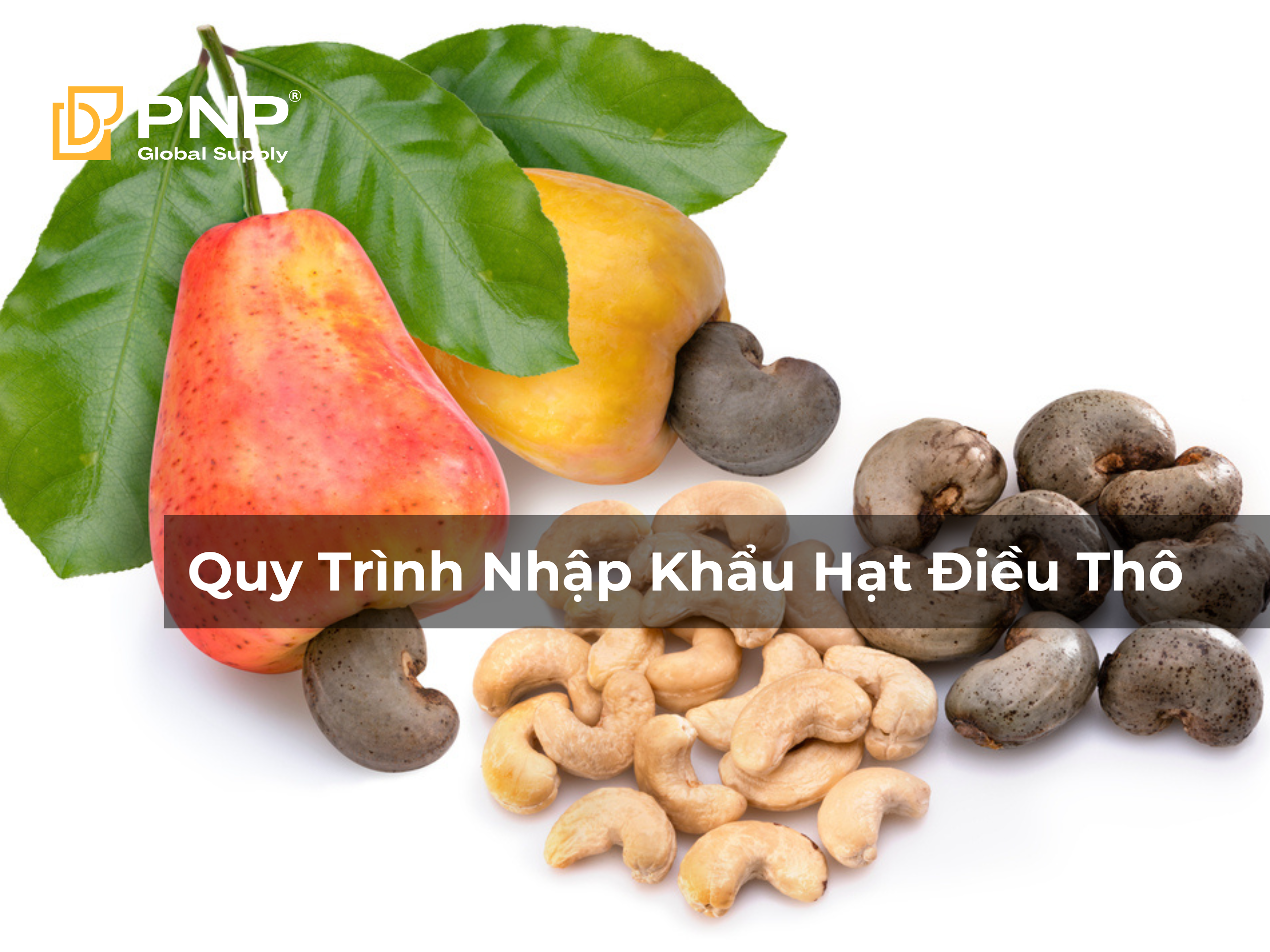 Quy Trình Nhập Khẩu Hạt Điều Thô