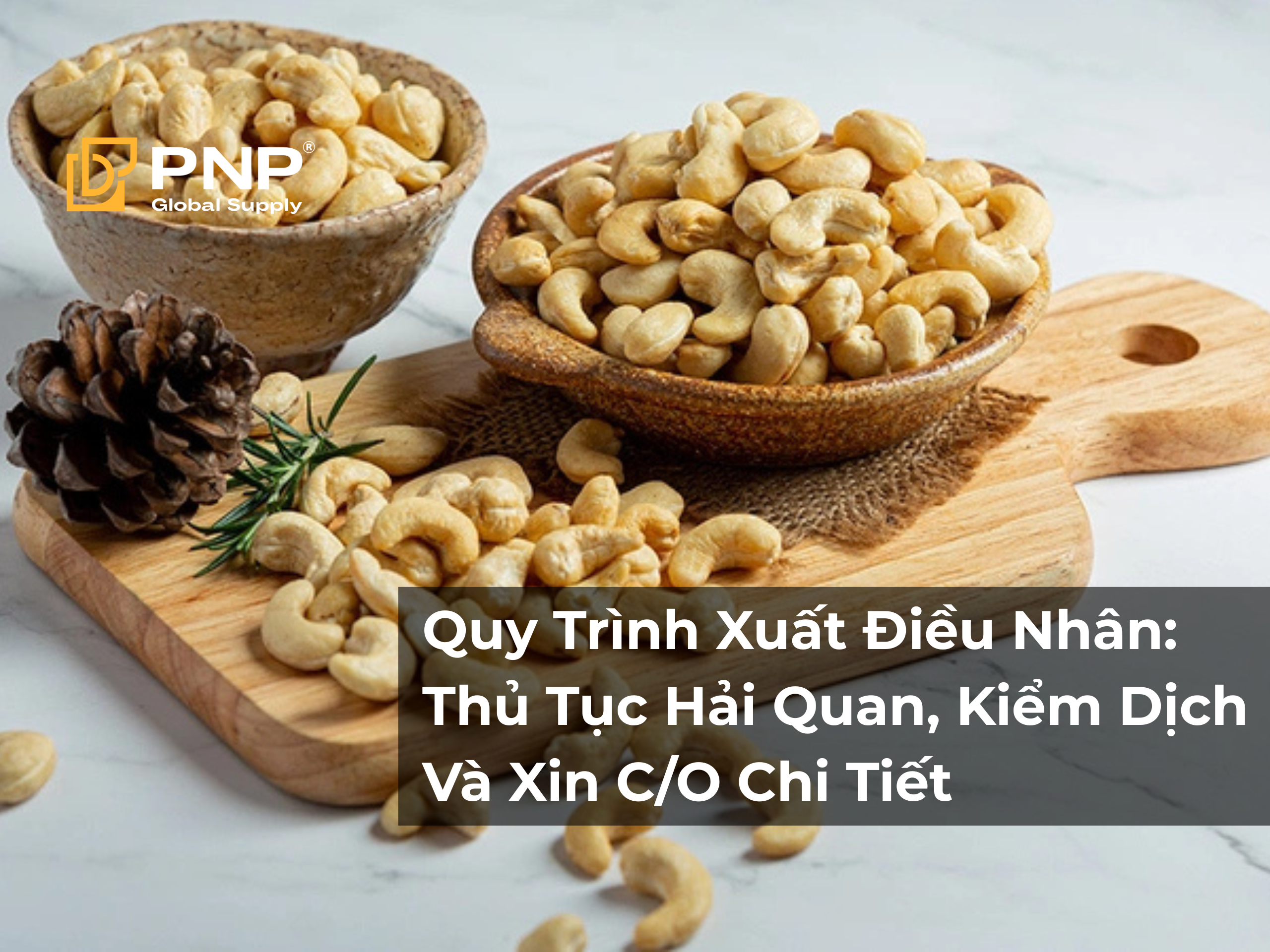 Quy Trình Xuất Điều Nhân: Thủ Tục Hải Quan, Kiểm Dịch Và Xin C/O Chi Tiết