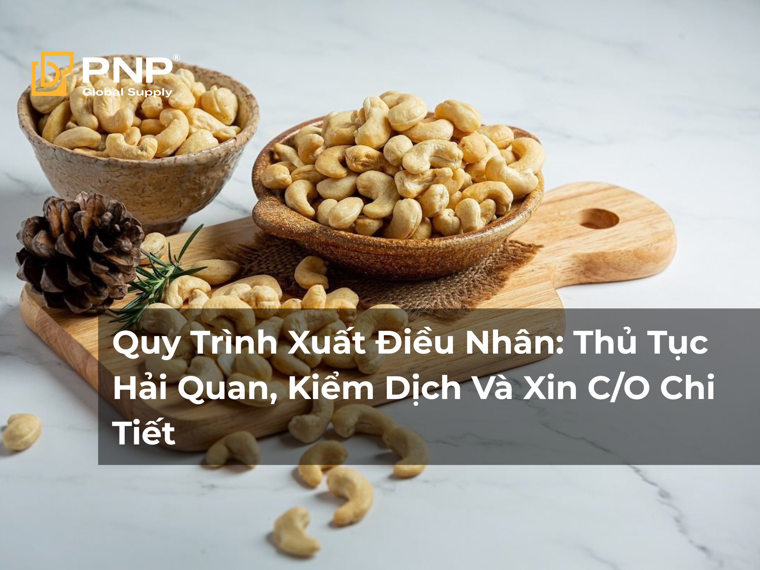 Quy Trình Xuất Điều Nhân: Thủ Tục Hải Quan, Kiểm Dịch Và Xin C/O Chi Tiết 