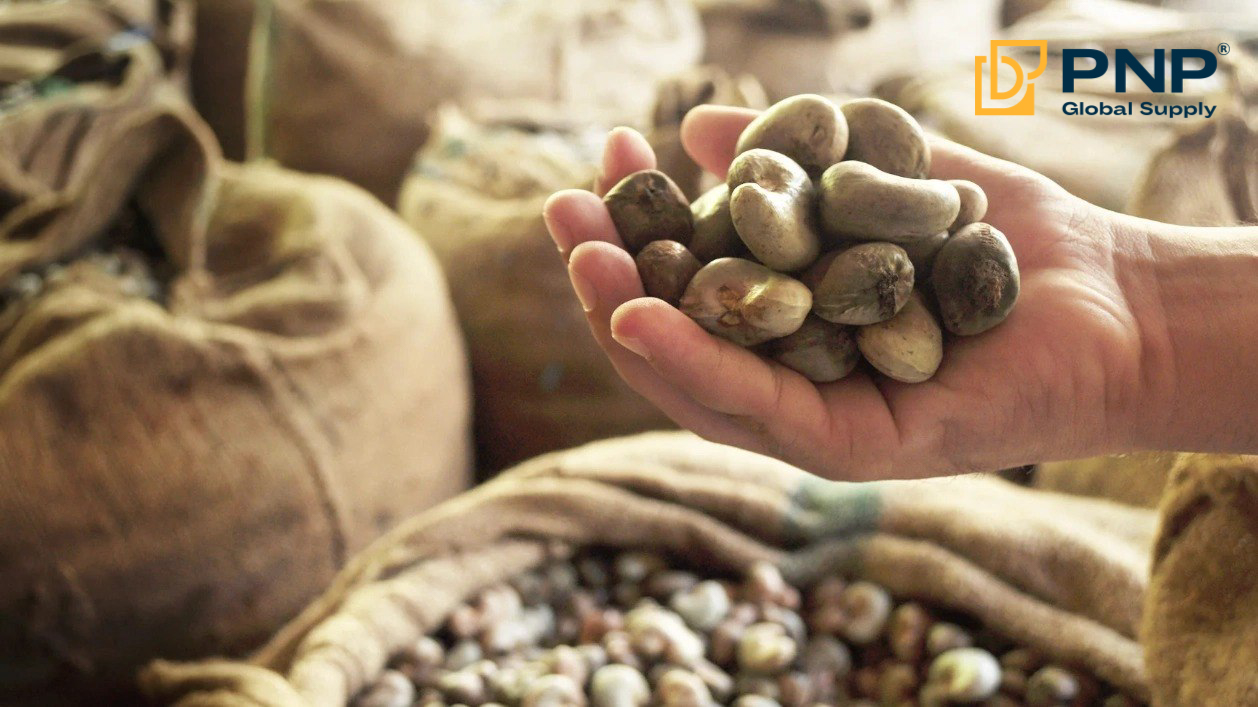 Nhập khẩu hạt điều thô