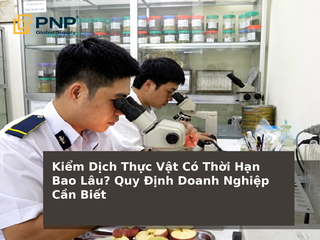 Kiểm Dịch Thực Vật Có Thời Hạn Bao Lâu? Quy Định Doanh Nghiệp Cần Biết