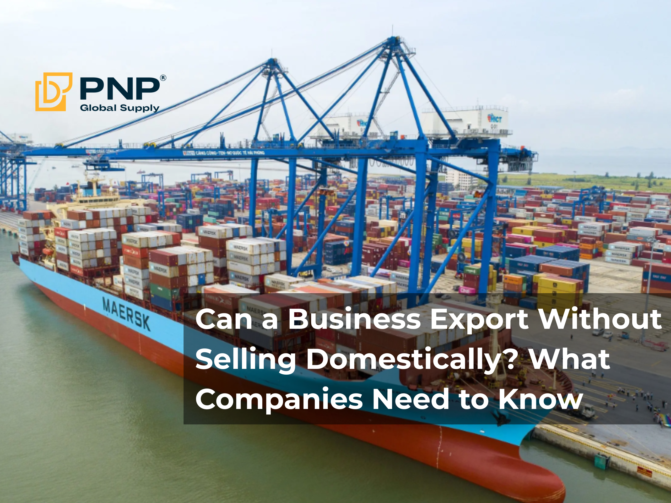Can a Business Export Without Selling Domestically? What Companies Need to Know