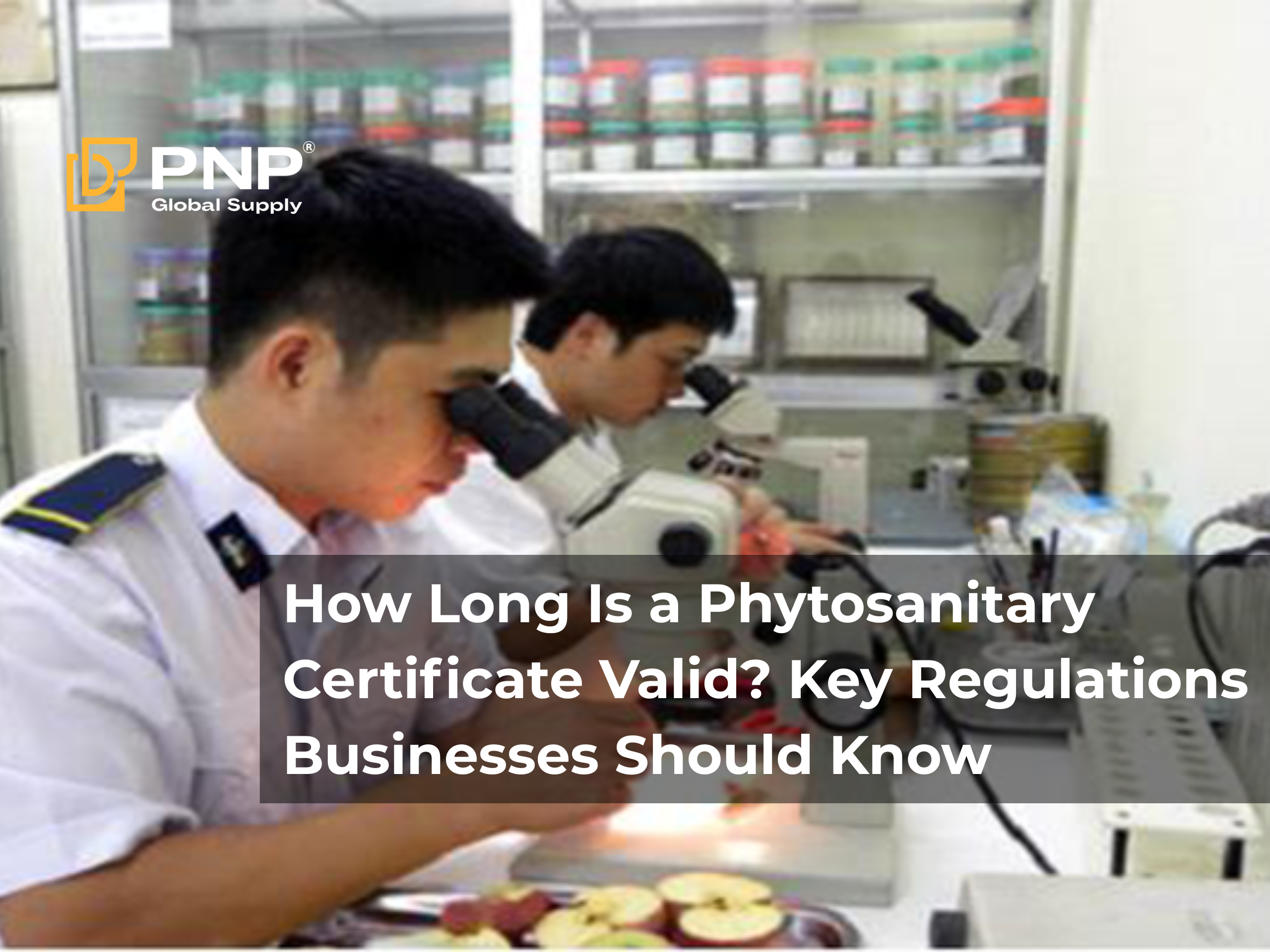 How Long Is a Phytosanitary Certificate Valid? Key Regulations Businesses Should Know