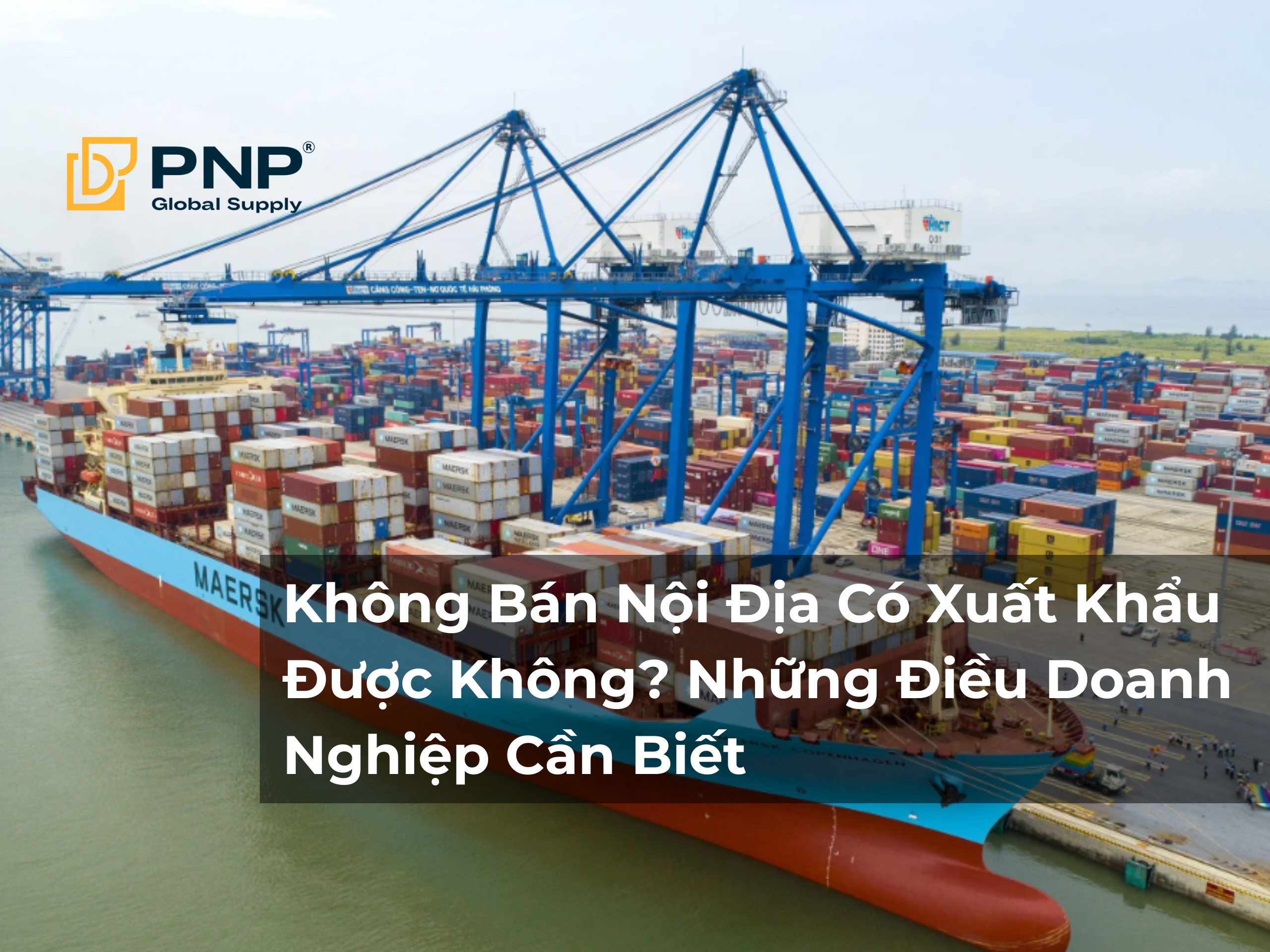 Không Bán Nội Địa Có Xuất Khẩu Được Không? Những Điều Doanh Nghiệp Cần Biết