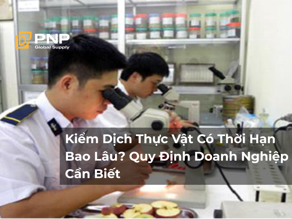Kiểm Dịch Thực Vật Có Thời Hạn Bao Lâu? Quy Định Doanh Nghiệp Cần Biết