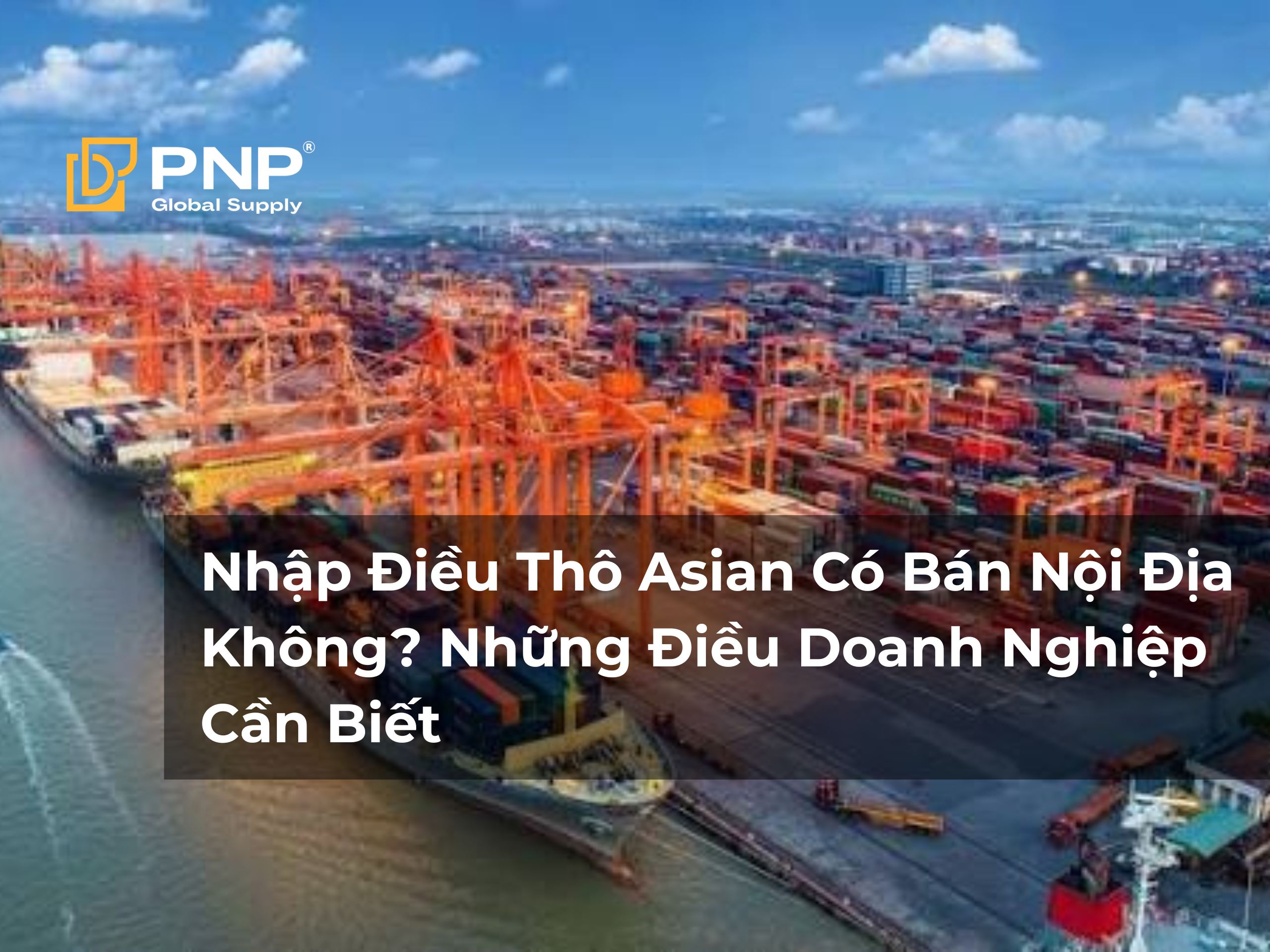 Nhập Điều Thô Asian Có Bán Nội Địa Không? Những Điều Doanh Nghiệp Cần Biết