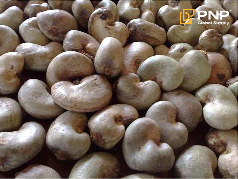 raw cashew nuts