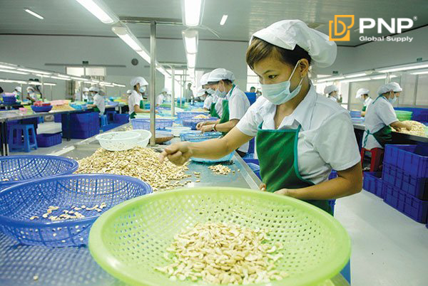 Importing cashew nuts from Asian countries