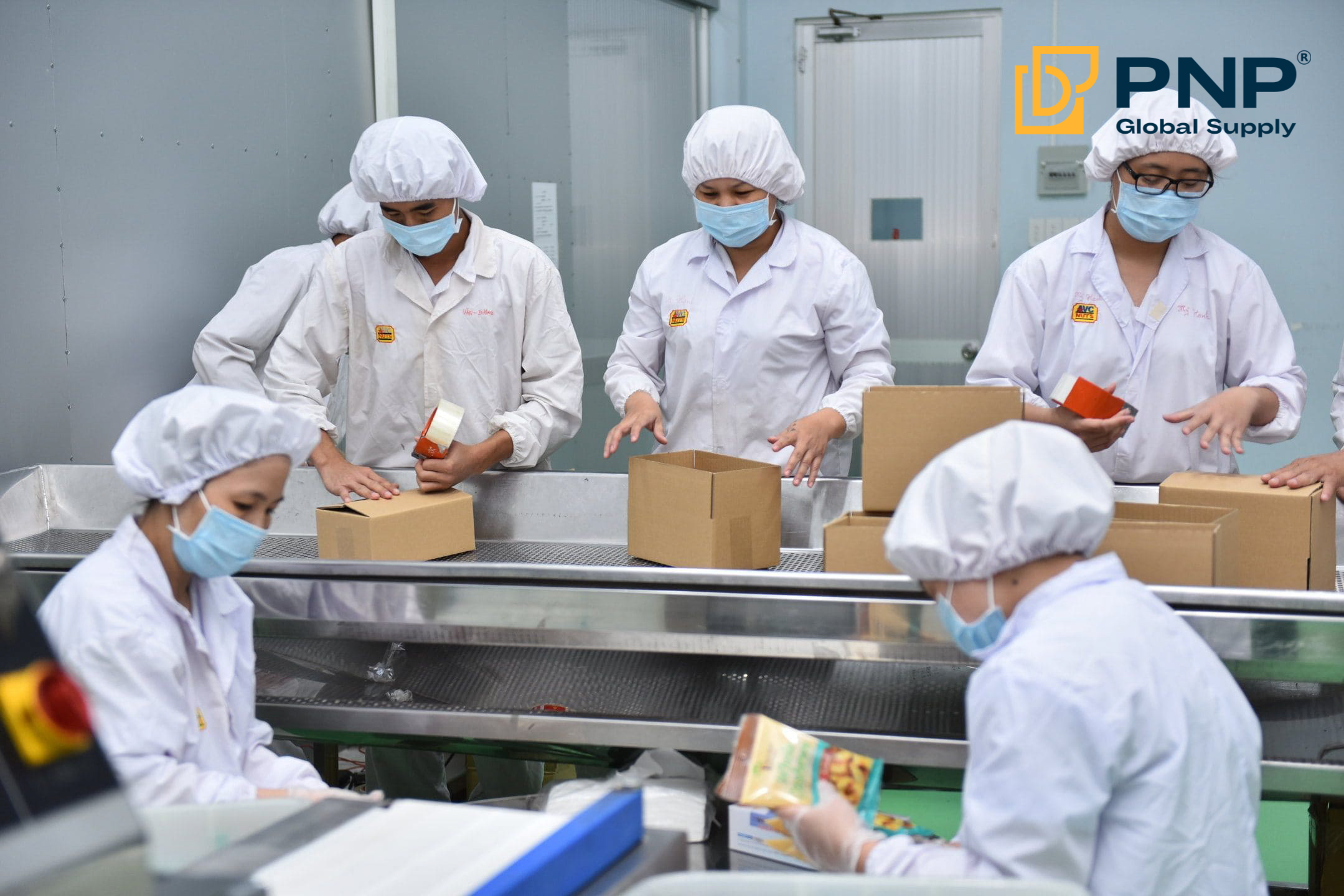Cashew Export Company