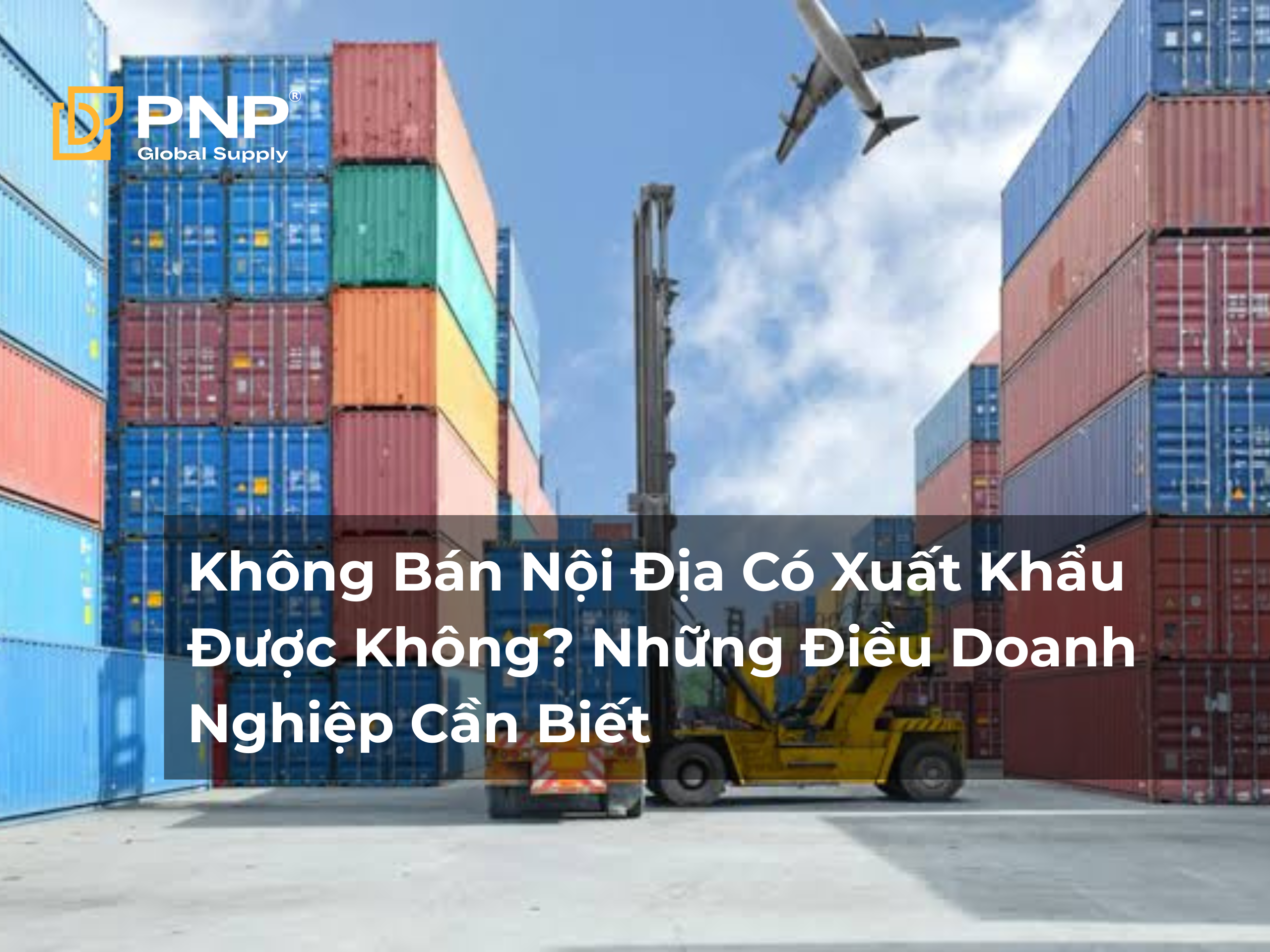 Không Bán Nội Địa Có Xuất Khẩu Được Không? Những Điều Doanh Nghiệp Cần Biết