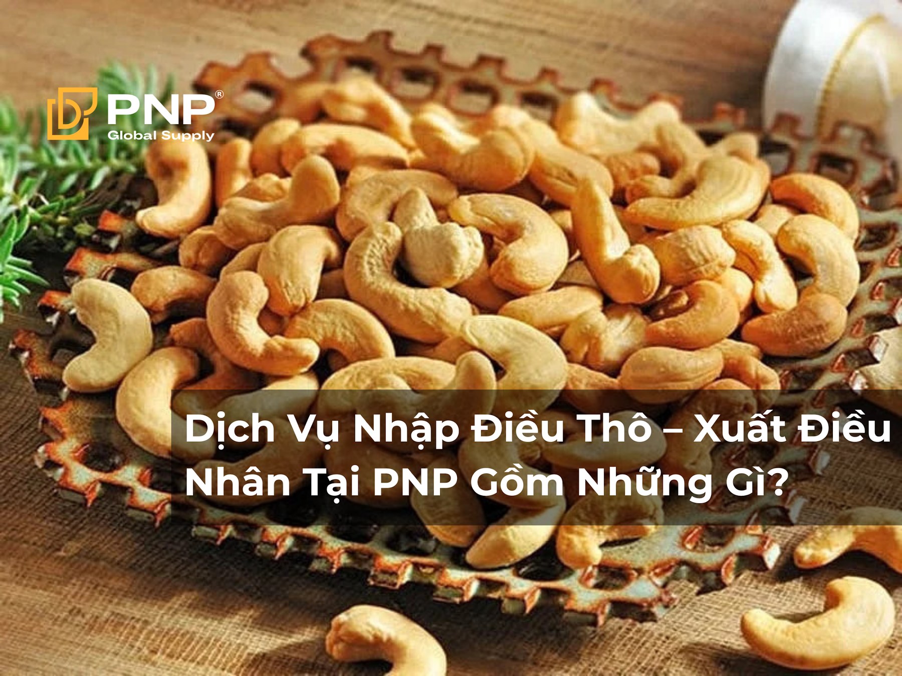 What Does PNP's Raw Cashew Nut Import & Cashew Kernel Export Service Include?